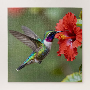 Puzzle Retrato de flor de hibisco de colibrí iridiscente