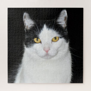 Puzzle Retrato de gato blanco y negro