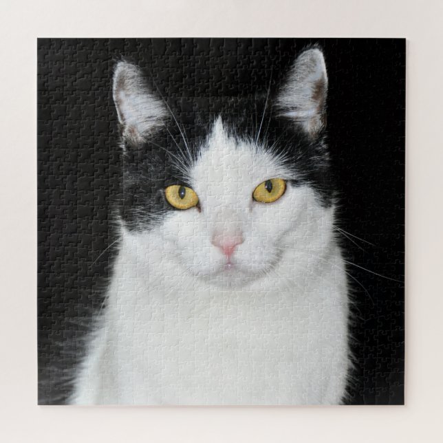 Puzzle Retrato de gato blanco y negro (Horizontal)