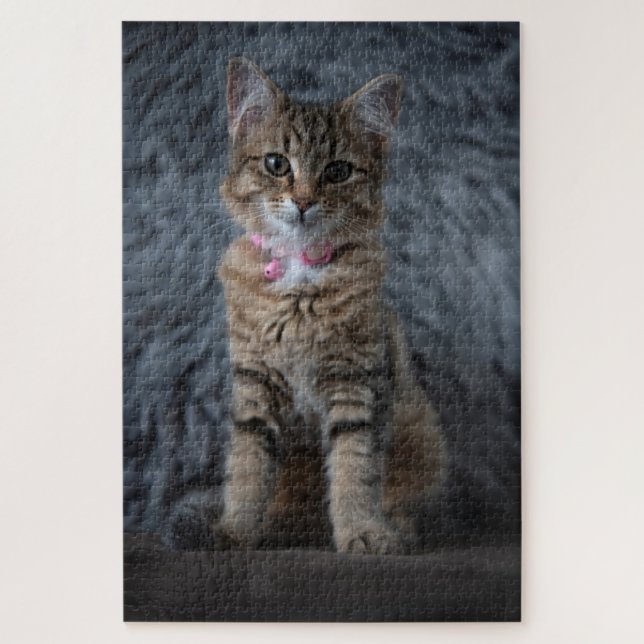 Puzzle Retrato de gato gatito, 1014 piezas (Vertical)