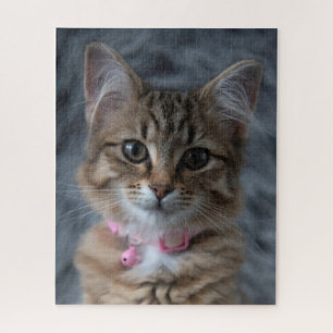 Puzzle Retrato de gato gatito, 520 piezas