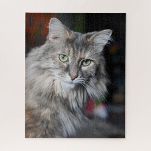 Puzzle Retrato de gato Meow Meow