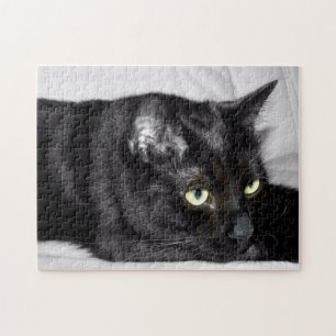Puzzle Retrato de gato negro lindo