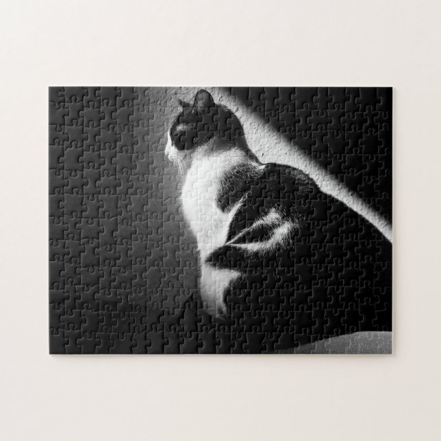 Puzzle Retrato de gato negro y blanco (Horizontal)