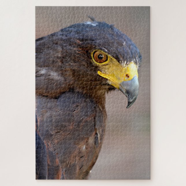 Puzzle Retrato de la tarjeta postal Harris Hawk (Vertical)