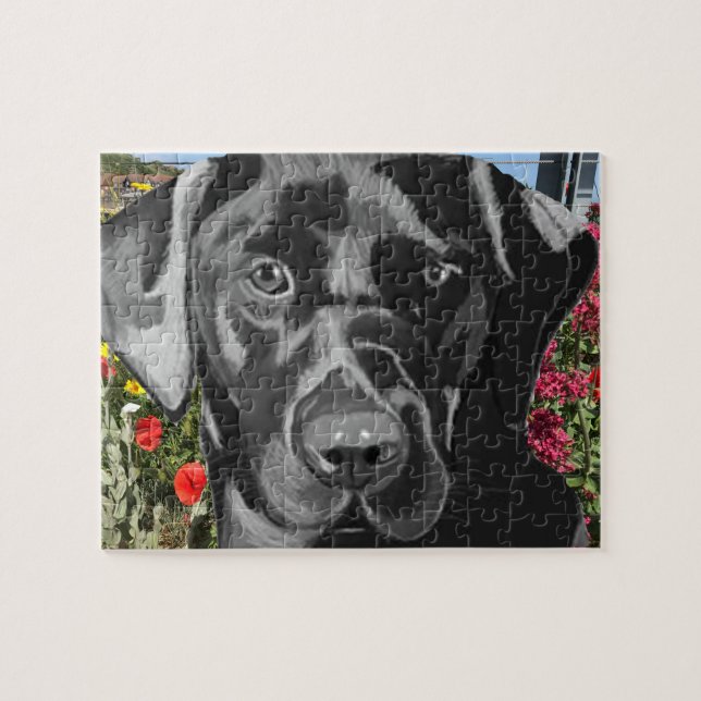Puzzle Retrato de Labrador Negro (Horizontal)