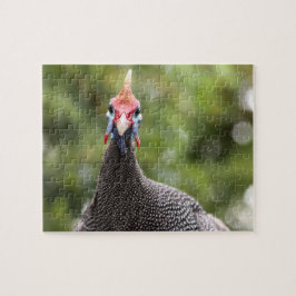 Puzzle Retrato de las Guinea-Aves