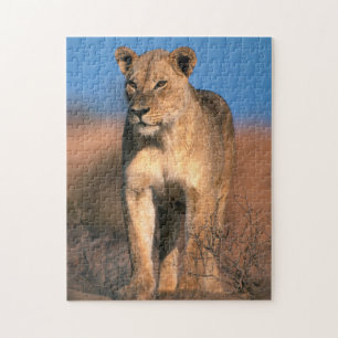 Puzzle Retrato De Leona (Panthera Leo)