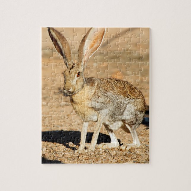 Puzzle Retrato de liebre antílope, Arizona (Vertical)