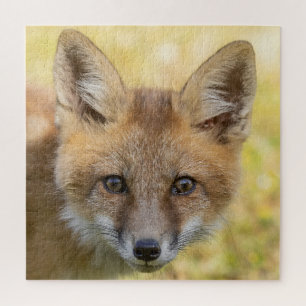 Puzzle Retrato de Little Cutie Fox