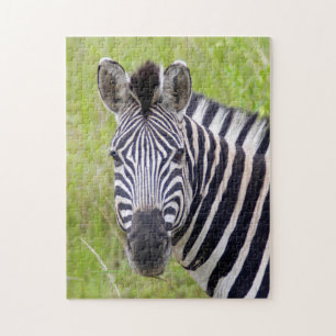 Puzzle Retrato De Lluvias Cebra, Juego Hluhluwe-Umfolozi