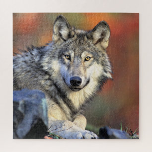Puzzle Retrato de lobo