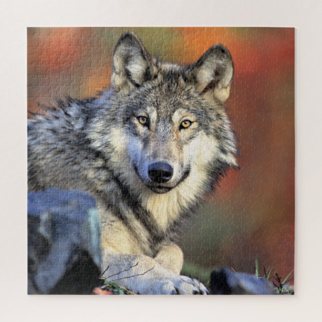 Puzzle Retrato de lobo (Vertical)