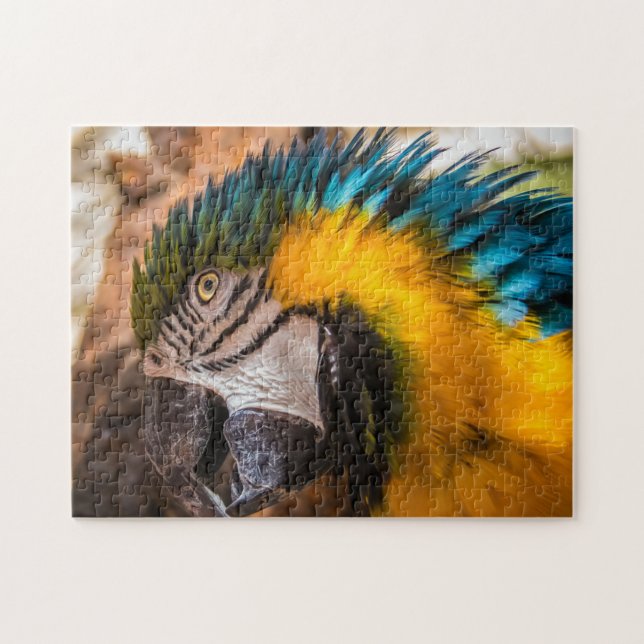 Puzzle Retrato de macao azul y amarillo (Horizontal)