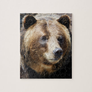 Puzzle Retrato de oso pardo