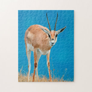 Puzzle Retrato de oveja de gacela de Grant (Gazella Grant