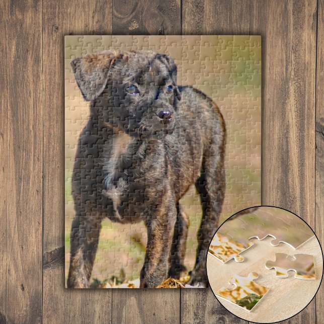 Puzzle Retrato de perfil de pinzas (Brindle Puppy Profile Portrait Jigsaw Puzzle)
