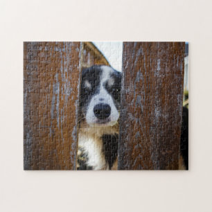 Puzzle Retrato de perro Border Collie lindo