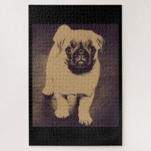 Puzzle Retrato de perro de pug cuta