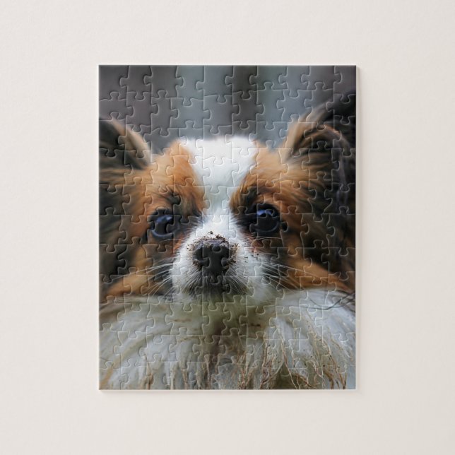Puzzle Retrato de perro de pura raza Papillon (Vertical)
