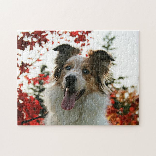 Puzzle Retrato de perro pastor australiano (Horizontal)
