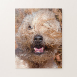 Puzzle retrato de Soft Coated Wheaten Terrier
