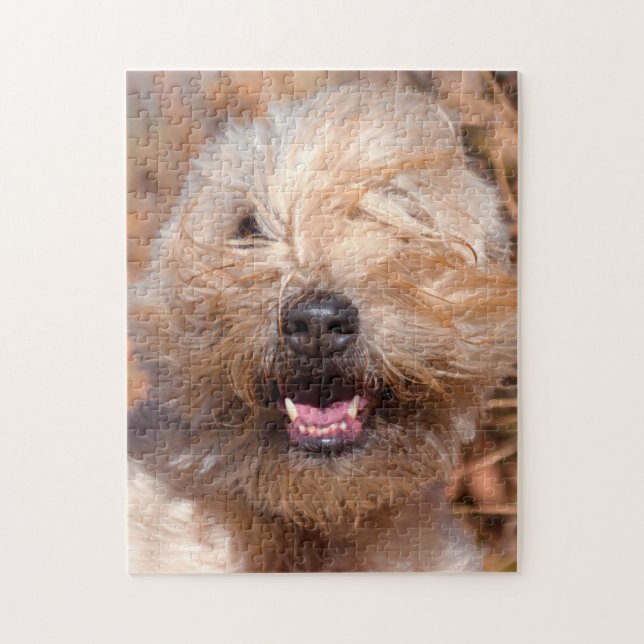 Puzzle retrato de Soft Coated Wheaten Terrier (Vertical)