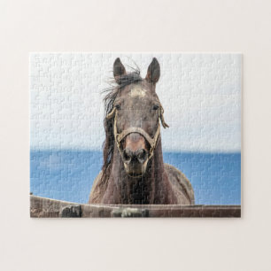 Puzzle Retrato de un caballo