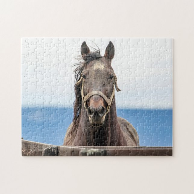 Puzzle Retrato de un caballo (Horizontal)