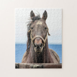 Puzzle Retrato de un caballo