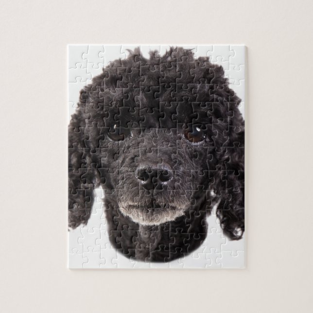 Puzzle Retrato de un caniche negro (Vertical)