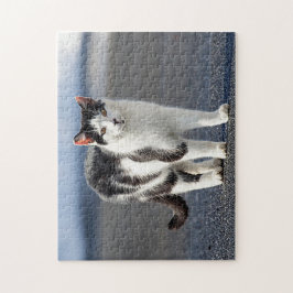 Puzzle Retrato de un gato