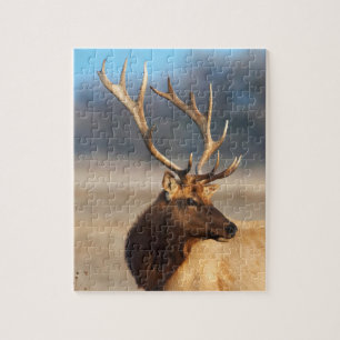 Puzzle Retrato de un impresionante alce toro