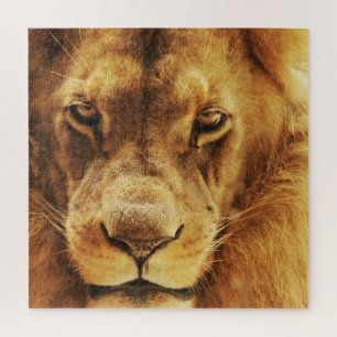 Puzzle Retrato de un león africano macho.