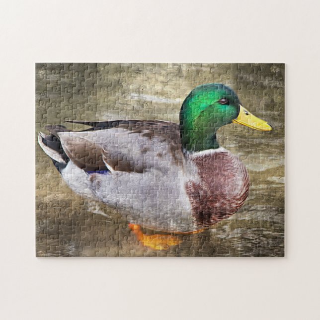 Puzzle Retrato de un mallard masculino (Horizontal)