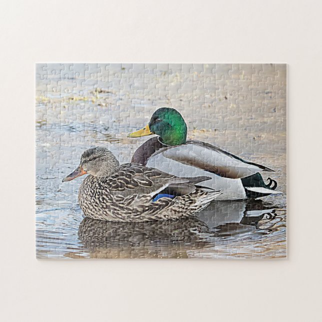 Puzzle Retrato de un mallard masculino y femenino (Horizontal)