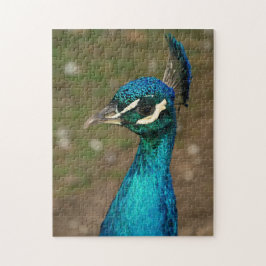 Puzzle Retrato de un pavo real azul