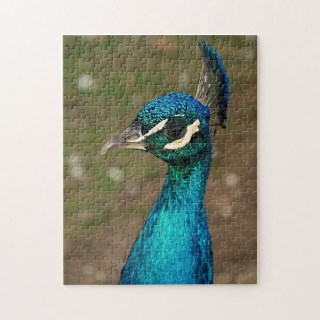 Puzzle Retrato de un pavo real azul (Vertical)