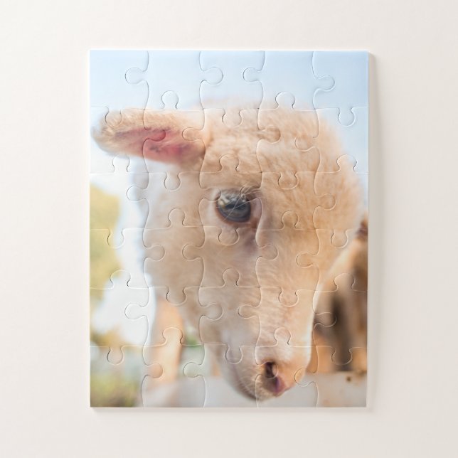 Puzzle Retrato de un pequeño cordero (Vertical)