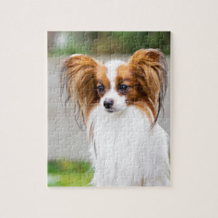 Puzzle Retrato de un perro papillón