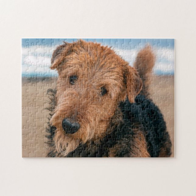 Puzzle Retrato de un Terrier Airedale (Horizontal)