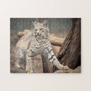 Puzzle Retrato de una Bobcat