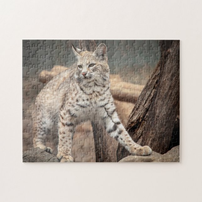 Puzzle Retrato de una Bobcat (Horizontal)