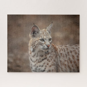 Puzzle Retrato de una Bobcat