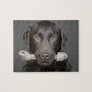 Puzzle Retrato del chocolate Labrador