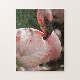 Puzzle Retrato Flamingo