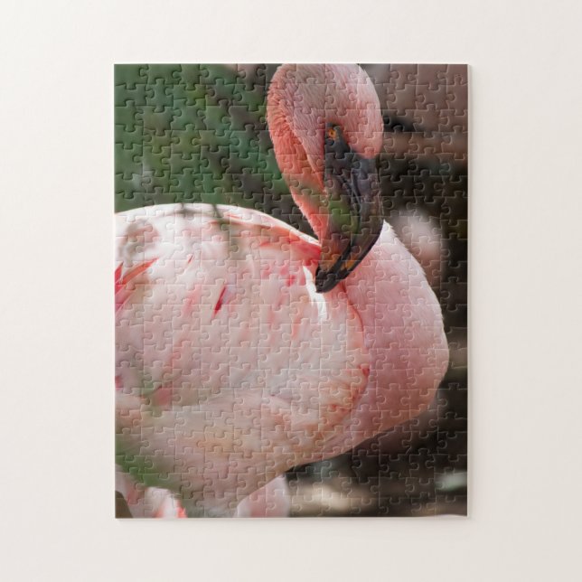 Puzzle Retrato Flamingo (Vertical)