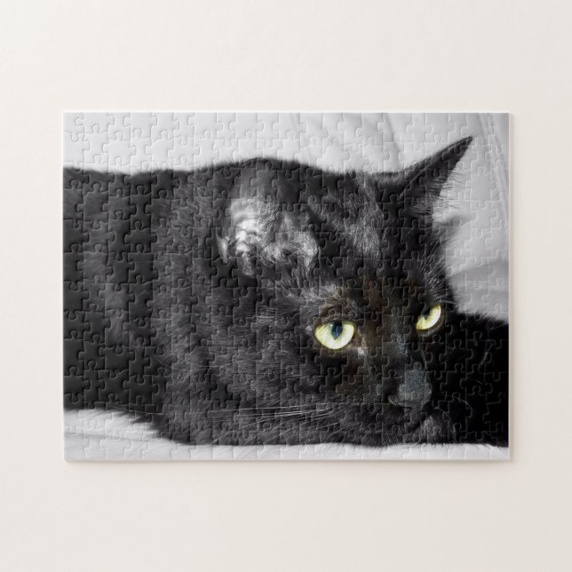 Puzzle Retrato lindo del gato negro (Horizontal)