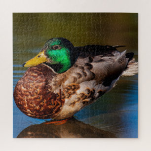 Puzzle Retrato Mallard