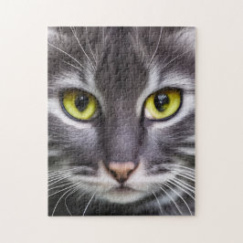 Puzzle Retrato maravilloso de gatos